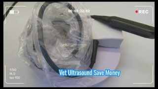 Sonda de ultrassom veterinário Mindray 75L50EAV